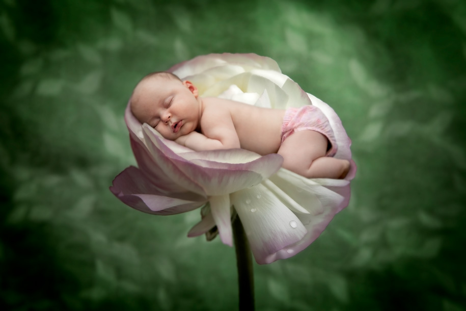 Website201497of85